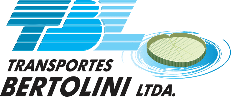 Grupo de 750 objetos